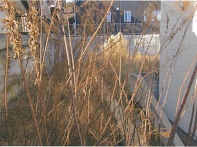 (値下げ) 千葉県柏市 増尾駅11分 土地 430万円の競売物件情報 #6