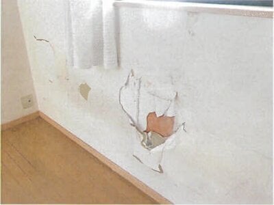 千葉県柏市 常盤平駅23分 戸建て 578万円の競売物件情報 #9