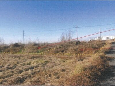 千葉県流山市 運河駅23分 農地 87万円の競売物件情報 #3