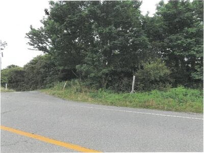 新潟県新潟市西蒲区 越後赤塚駅 土地 103万円の競売物件情報 #3