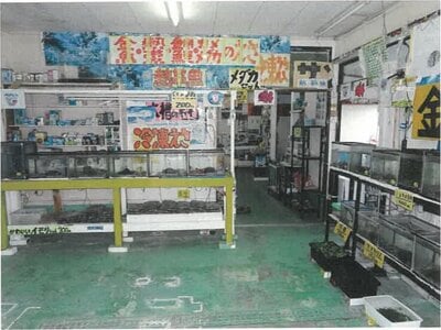 新潟県新潟市南区 矢代田駅 戸建て 360万円の競売物件情報 #2