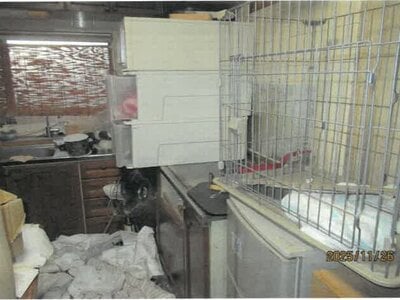 大阪府大阪市平野区 平野駅6分 戸建て 1,384万円の競売物件情報 #21