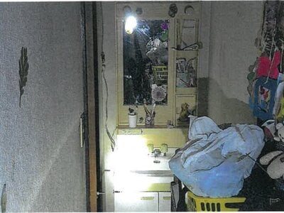 大阪府門真市 門真南駅24分 戸建て 312万円の競売物件情報 #6