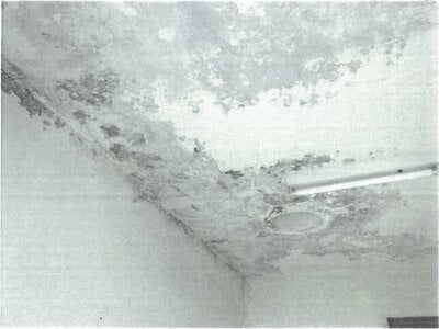 大阪府茨木市 茨木駅1分 戸建て 1億1,557万円の競売物件情報 #35