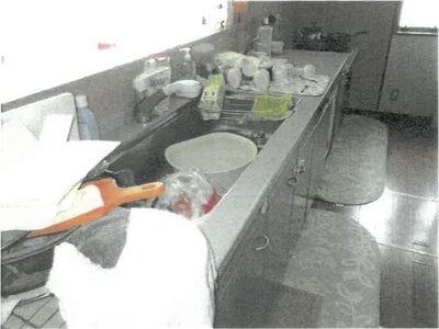 大阪府池田市 滝山駅14分 戸建て 1,664万円の競売物件情報 #12