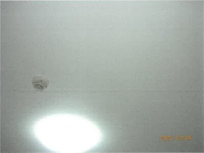 大阪府大阪市西淀川区 姫島駅6分 マンション「サムティ大阪WESTグランジール」788万円の競売物件情報 #6