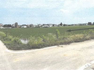 栃木県栃木市 野木駅 農地 124万円の競売物件情報 #2