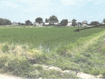 栃木県栃木市 野木駅 農地 124万円の競売物件情報 #3