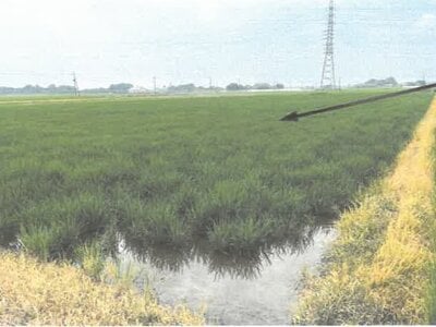 栃木県栃木市 野木駅 農地 104万円の競売物件情報 #2