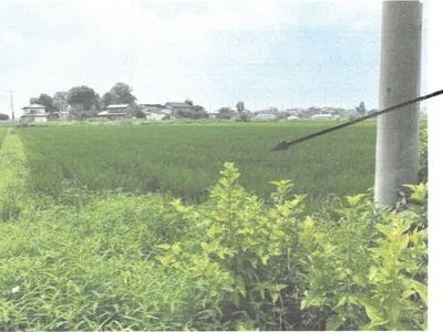 栃木県栃木市 野木駅 農地 67万円の競売物件情報 #2