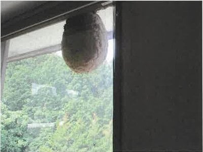 (値下げ) 群馬県渋川市 祖母島駅 戸建て 2,204万円の競売物件情報 #63