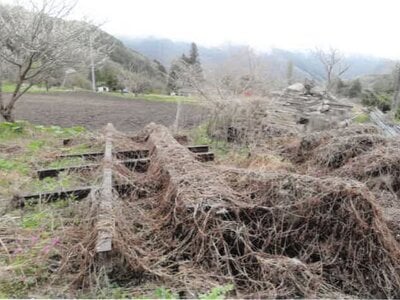 群馬県沼田市 農地 1万円の競売物件情報 #3