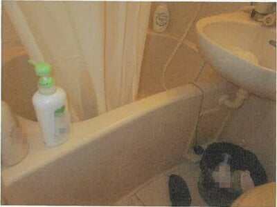 東京都板橋区 地下鉄成増駅9分 マンション「ワコーレ成増」541万円の競売物件情報 #2