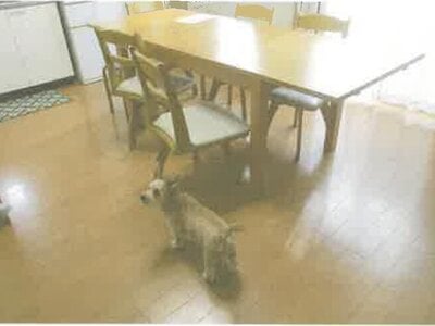 神奈川県厚木市 相武台下駅30分 戸建て 872万円の競売物件情報 #2