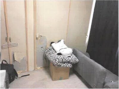 神奈川県愛甲郡愛川町 番田駅 戸建て 955万円の競売物件情報 #3