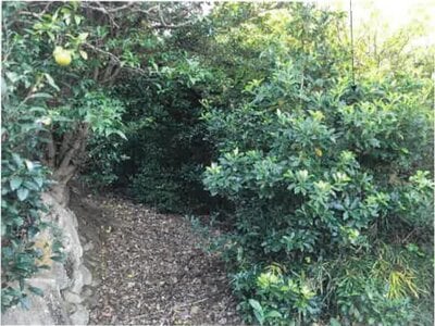 神奈川県足柄下郡湯河原町 湯河原駅13分 戸建て 104万円の競売物件情報 #7