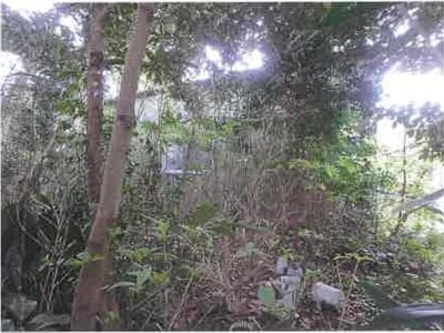 千葉県館山市 館山駅 農地 122万円の競売物件情報 #14