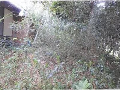 千葉県館山市 館山駅 農地 122万円の競売物件情報 #15