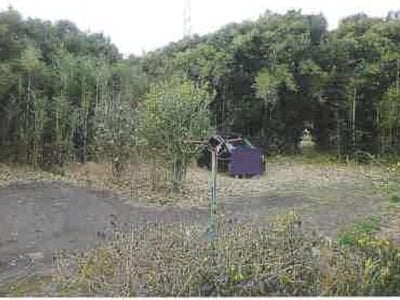 千葉県館山市 館山駅 農地 122万円の競売物件情報 #8