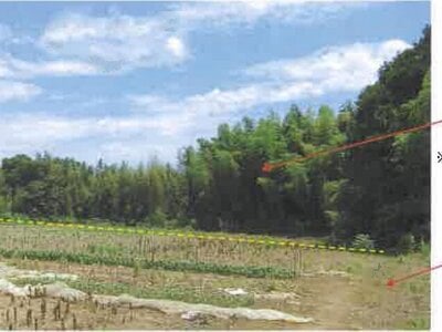 千葉県香取市 空港第2ビル駅 農地 12万円の競売物件情報 #2