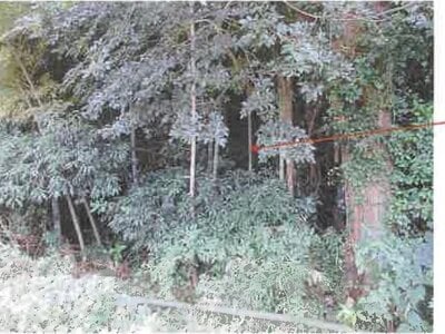 千葉県香取市 空港第2ビル駅 農地 12万円の競売物件情報 #5