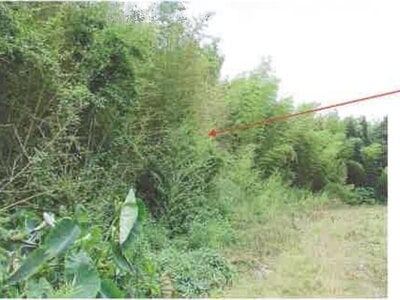 千葉県香取市 空港第2ビル駅 農地 12万円の競売物件情報 #6