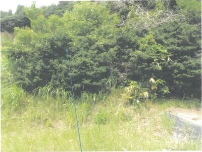 (値下げ) 福井県越前市 北府駅 戸建て 145万円の競売物件情報 #12