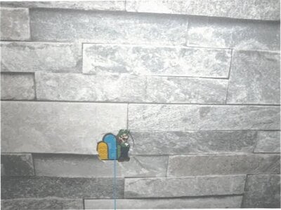 福井県越前市 たけふ新駅13分 戸建て 999万円の競売物件情報 #6