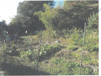 福井県越前市 武生駅15分 戸建て 134万円の競売物件情報 #16