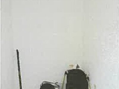 滋賀県長浜市 虎姫駅 戸建て 842万円の競売物件情報 #11