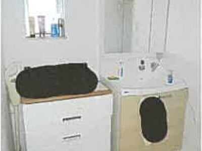 滋賀県長浜市 長浜駅25分 戸建て 1,747万円の競売物件情報 #19