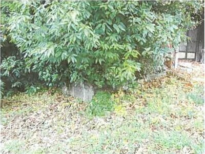 滋賀県長浜市 近江長岡駅 戸建て 92万円の競売物件情報 #12