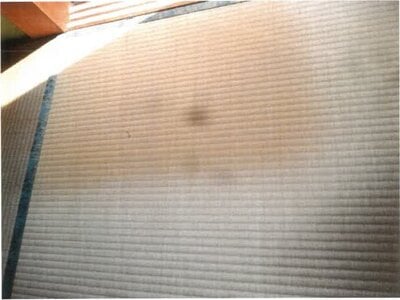 和歌山県東牟婁郡那智勝浦町 宇久井駅10分 戸建て 607万円の競売物件情報 #9