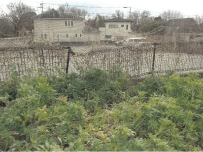 徳島県板野郡板野町 板野駅14分 戸建て 336万円の競売物件情報 #7