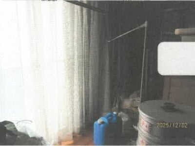 徳島県板野郡藍住町 勝瑞駅 戸建て 799万円の競売物件情報 #7