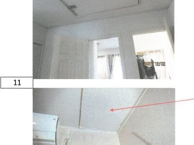 徳島県板野郡藍住町 勝瑞駅 戸建て 799万円の競売物件情報 #9