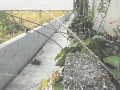 徳島県鳴門市 金比羅前駅12分 戸建て 85万円の競売物件情報 #21