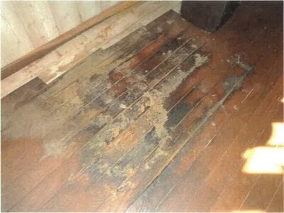 徳島県徳島市 府中駅 戸建て 577万円の競売物件情報 #10