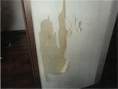 徳島県徳島市 府中駅 戸建て 577万円の競売物件情報 #14