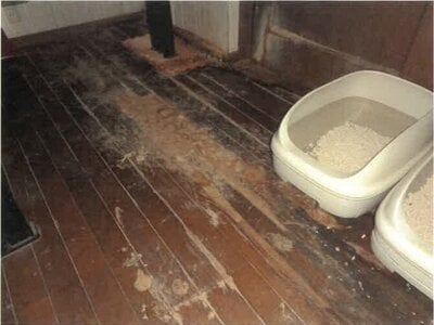 徳島県徳島市 府中駅 戸建て 577万円の競売物件情報 #9