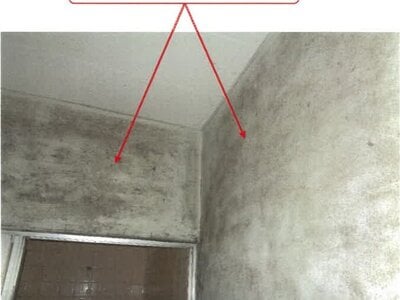 徳島県徳島市 蔵本駅11分 戸建て 733万円の競売物件情報 #13