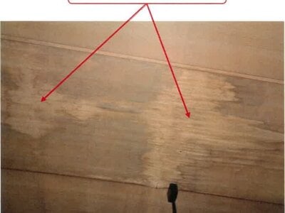 徳島県徳島市 蔵本駅11分 戸建て 733万円の競売物件情報 #17