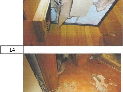 徳島県板野郡上板町 牛島駅 戸建て 401万円の競売物件情報 #11