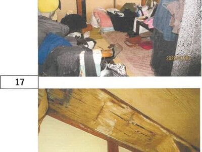 徳島県板野郡上板町 牛島駅 戸建て 401万円の競売物件情報 #13