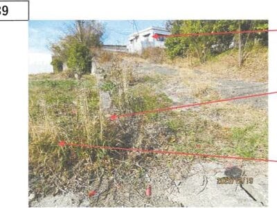 徳島県板野郡上板町 牛島駅 戸建て 401万円の競売物件情報 #29