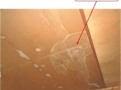 (値下げ) 徳島県美馬郡つるぎ町 阿波半田駅 戸建て 63万円の競売物件情報 #11