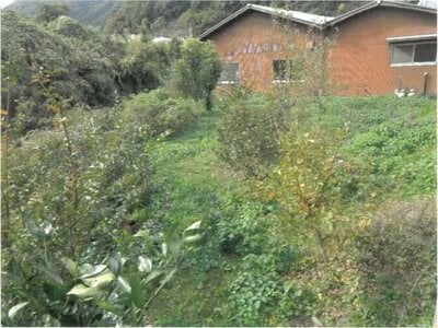 (値下げ) 徳島県美馬郡つるぎ町 阿波半田駅 戸建て 63万円の競売物件情報 #4