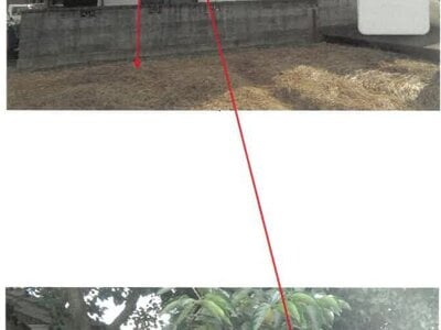 徳島県板野郡上板町 牛島駅 戸建て 71万円の競売物件情報 #3