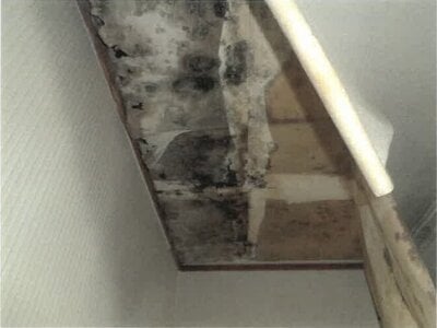 徳島県徳島市 鮎喰駅8分 戸建て 775万円の競売物件情報 #31