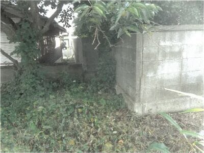 徳島県板野郡上板町 牛島駅 農地 69万円の競売物件情報 #5